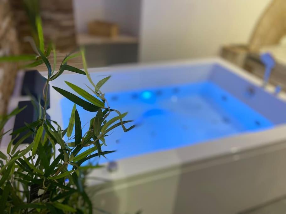 Lover Dose Spa Виерзон Екстериор снимка